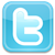 Twitter Badge